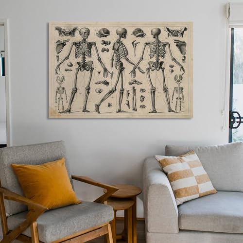 Vintage Anatomy Skeleton Diagram Canvas Printing Wall Art Medical Science Posters Antique Bone Prints Dark Academia Aesthetic Picture Wall Decor For Living Room Bedroom Home Office 12x18inch(30x45cm) by Generic - Used condition - Image 6