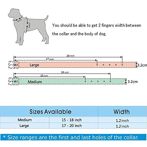 haoyueer Hundehalsband aus Leder mit Nieten, 2 Reihen Kugelnieten, PU-Leder – Cooles Totenkopf-Zubehör für mittelgroße und große Hunde (schwarz, M)