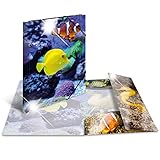 Motivdruck mit Hochglanz-Effekt und 3 bedruckten Innenklappen sorgen für einen optimalen Schutz