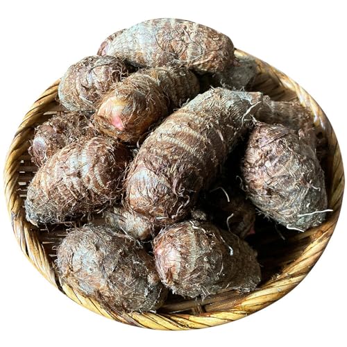 里芋 (赤芽) 約3kg[11月上旬-3月末頃出荷予定] 里芋