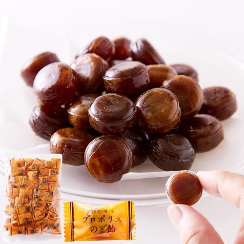 VR v|X̂ǈ (300g) Hi  ݂͂ LfB n[uGLXz 