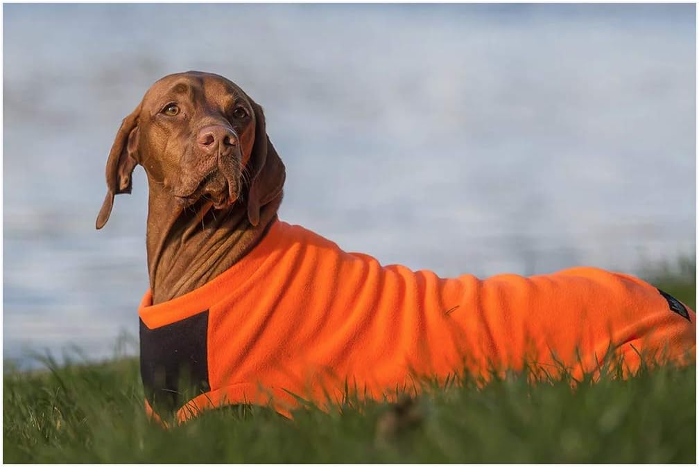 vizsla fleece