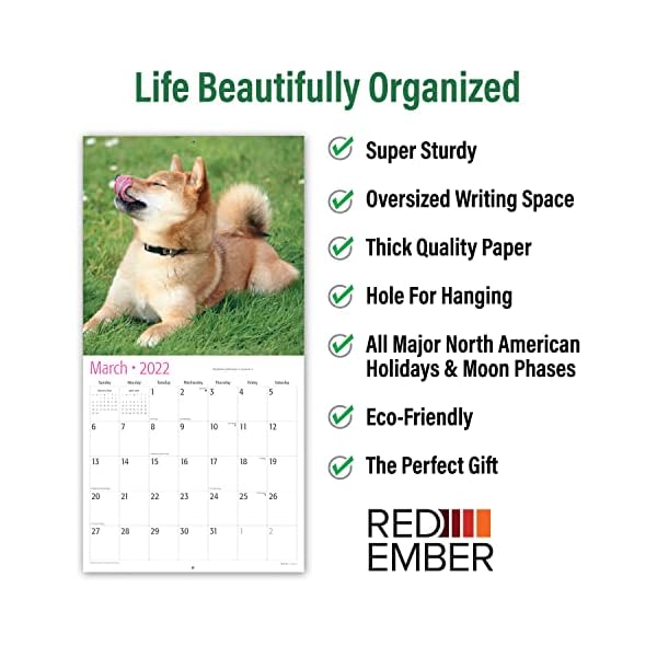 RED EMBER Shiba Inus Wandkalender 2022, zum Aufhängen, 30,5 x 61 cm, geöffnetes dickes und stabiles Papier, Geschenk… – Bild 3