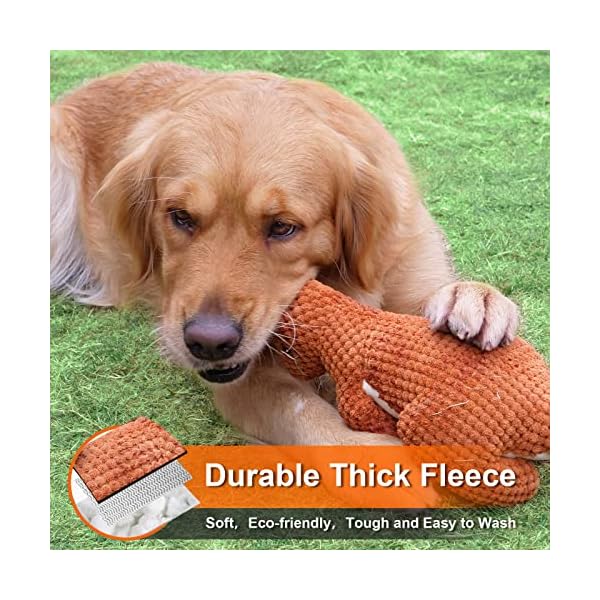 Tough Chew Toys for Medium Dog Breed