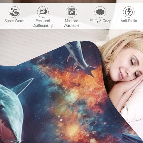 Couverture canapé requin grand format, le cadeau idéal et original - 4