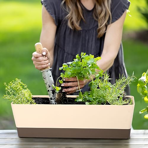 Suream Window Box Herb Planters, 3 Pack 16 X3.8 Inch Indoor Rectangle Succulent Cactus Plant Pots With Saucer, Modern Plastic Flower Container For Windowsill, Garden Balcony, Home Office Outdoor Decor #TOP4