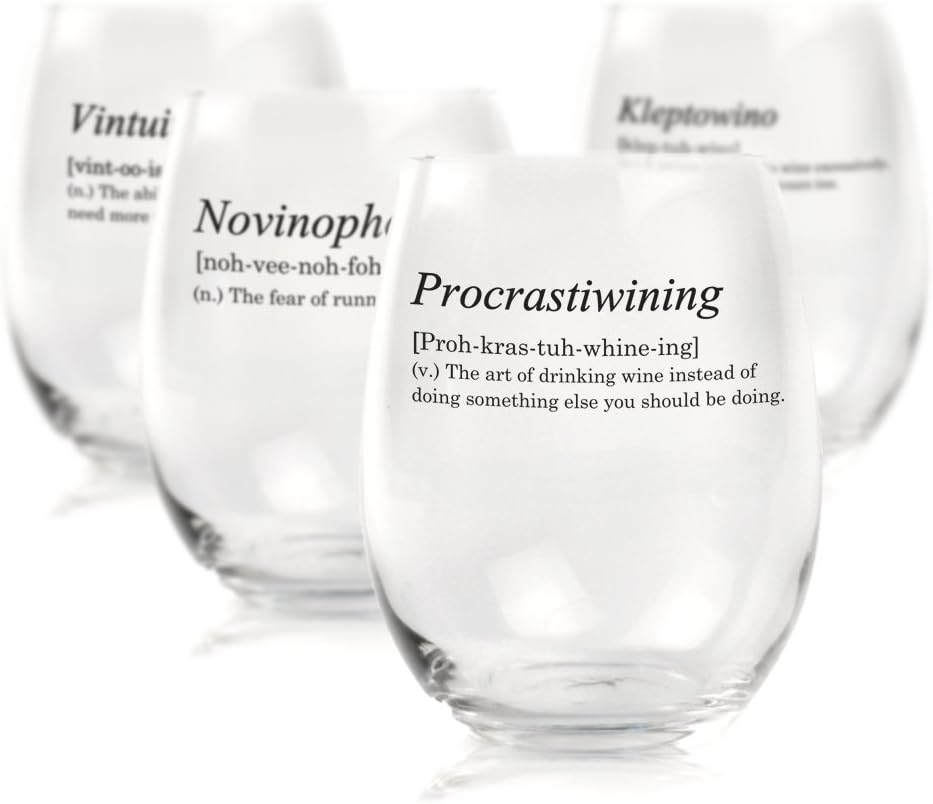 Funny Stemless Wine Glass Dictionary Definitions - Set of 4