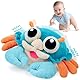 Tacobear Krabbe Baby Spielzeug 6 8 9 10 12 Monate Musikalische Krabbelspielzeug mit 50 Lieder und Aufnahmefunktion Crawling Crab Tummy Time Toys Babyspielzeug ab 1 Jahr Geschenk Mädchen Junge