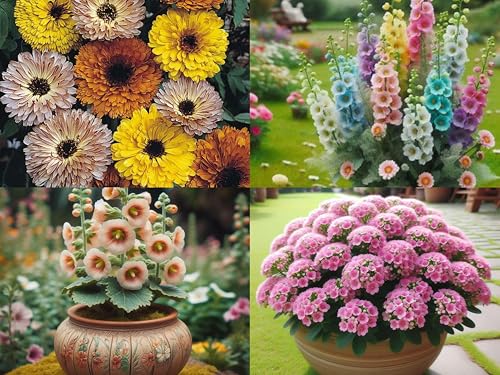Image of 12 Varieties Low Maintenance Hybrid Flower Seeds Combo Pack- All Year Flower Seeds Supply (WINTER SEASON COMBO)