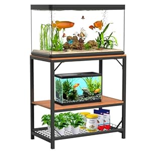 20 Gallon Aquarium Stand, 20 Gallon Fish Tank Stand, 29.5″ L x 15.7″ W x 30.7″ H Metal Frame Reptile Tank Stand, Fish Tank Table Stand for Accessories Storage