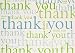 Many Thanks Note Cards (Stationery, Note Cards)