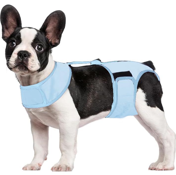 Kuoser Dog Diapers Female with Suspenders, Escape-Proof Doggie Diaper, M