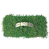 SodPods® Zoysia Grass Plugs for Lawn Repair, 3' x 3' Each (32-Count) – Cannot Ship to California/Arizona