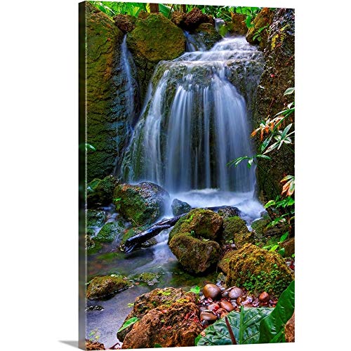 CANVAS ON DEMAND Waterfall in Tropical Rainforest of Fairchild Tropical Gardens, Canvas Wall Art Print, Home Decor, Floral, Flowers, Nature Artwork, 16" x24in
