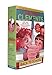 Back to School (Boxed Set): School Story; The Report Card; A Week in the Woods