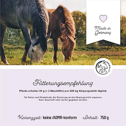 Annimally Probiotika Pulver für Pferde - 750g Darm Pulver mit Lebendhefe für eine gesunde Darmflora - Darmbakterien zur Darmsanierung beim Pferd, bei Kotwasser & Durchfall