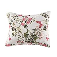Algopix Similar Product 12 - Greenland Butterflies Standard