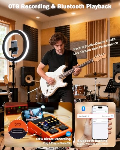 Professional Guitar Amplifier Tube Combo