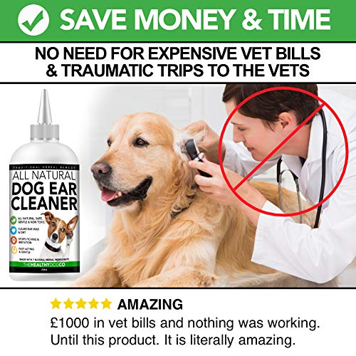 The Healthy Dog Co - Natural Dog Ear Cleaner - Dog Ear Drops for Infection - Gentle Ear Drops for Dogs - Dog Ear Cleaner Solution - Soothing Dog Ear Cleaning Solution - Ideal Puppy Ear Cleaner - 250ml - Image 5