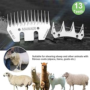 13 Tooth Pet & Livestock Shearing Replacement Blades for fit Oster, Lister, Heiniger Sheep Clippers, Detachable Animal Trimmer Shears for Grooming Goats, Lambs, Llamas, Alpacas (13 Tooth) 13 Tooth Pet & Livestock Shearing Replacement Blades for fit Oster, Lister, Heiniger Sheep Clippers, Detachable Animal Trimmer Shears for Grooming Goats, Lambs, Llamas, Alpacas (13 Tooth)