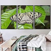 3 Piece Framed Canvas Wall Art Colorful Butterfly Insects Canvas Prints Home Artwork Decoration for Living Room,Bedroom - 16