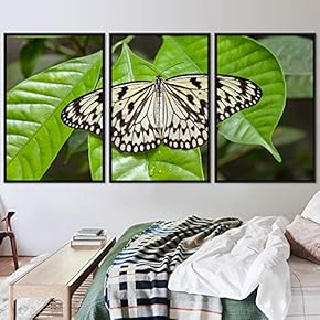 signwin 3 Piece Framed Canvas Wall Art Colorful...