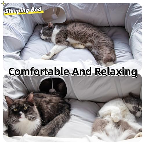 XxingSheep 4 Ways Shuttled XL Cat Tunnel Bed for Indoor Cats Peekaboo Cat Cave Donut with Cool Mat