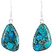 Turquoise Earrings 925 Sterling Silver Genuine Turquoise Jewelry (Pick Style) (Free-Form Drops)