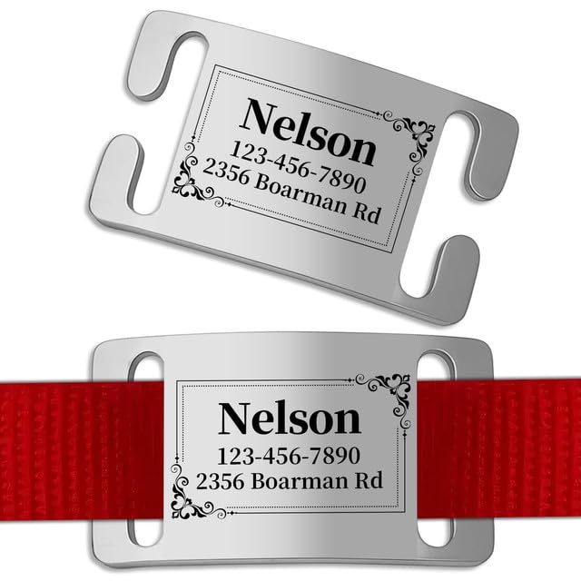 Personalised Dog Tags Engraved for Pets - Custom Name & ID Tag with Silent Slide-On Design for Dogs & Cats | Engrave Pet Identity on Stainless Steel Tag for Collar