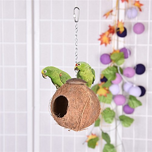 Hypeety Pet Bird Breeding Nest Coconut House Swing Ladder Toys Parrot Parakeets Finches Hamster House Natural Nest Lovebird Cage Hanging Swing Perch (B:coco Hanging Toy) #TOP1