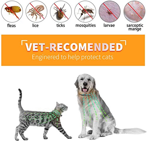 Collare antipulci per cani,collare anti zecche per...