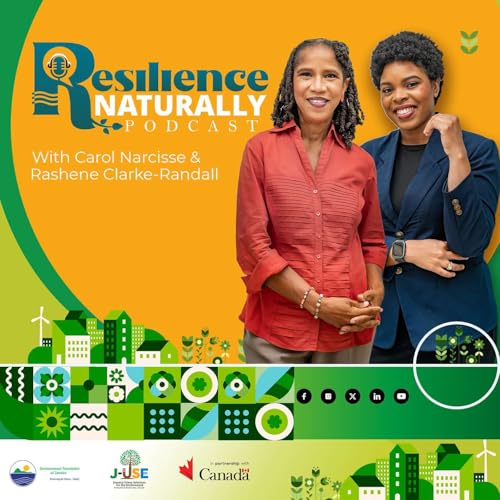 Resilience... Naturally! cover art