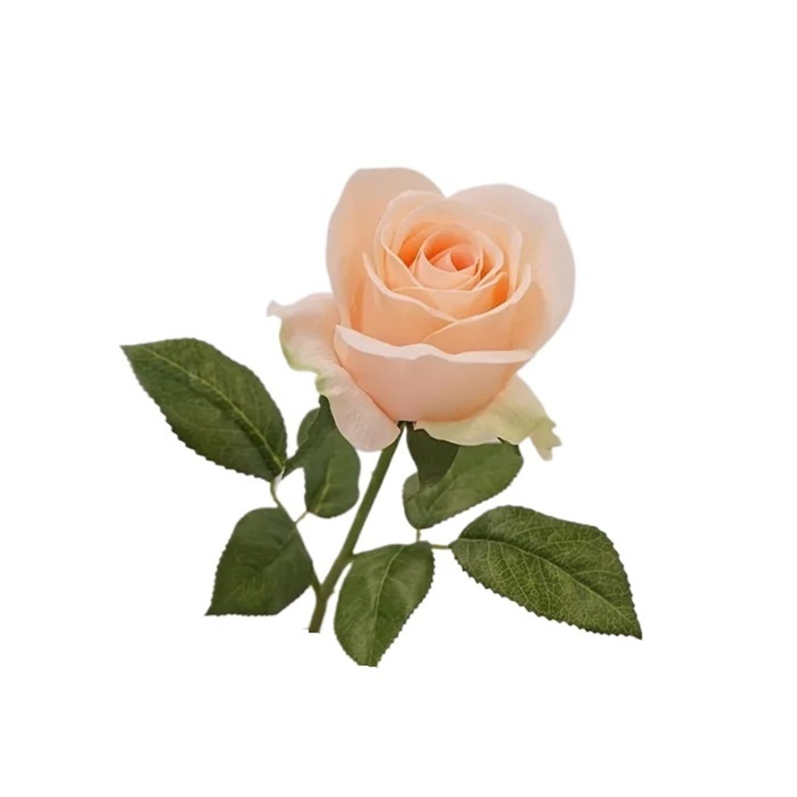Casetlong 5PCS Artificial Flowers Bouquet Wedding Decor Home Decoration Ornaments Party Floral(Champagne)