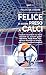 Felice di essere preso a calci. Il pallone racconta la sua storia dal 2500 a.C. ai giorni nostri. Maradona, Paolo Rossi, Pelé: ventuno mondiali tra primati, curiosità e divertenti aneddoti