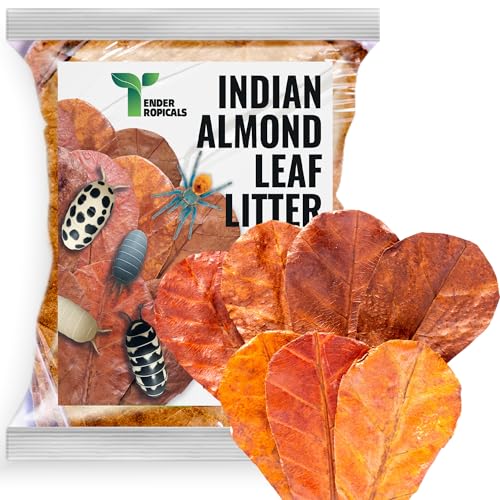 Leaf Litter for Isopods Vivarium Indian Almond Leaves , Tarantulas, Spiders, Crickets Millipedes & Reptiles – 80pcs Natural 4' Dried Catappa Leaves for Bioactive Terrariums,Aquariums & Habitat