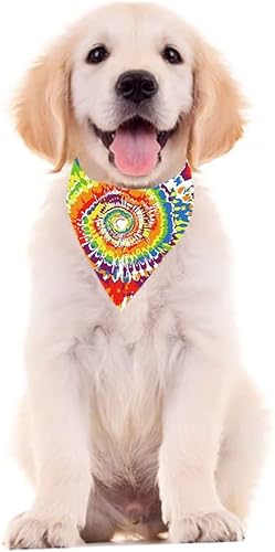 Miniatura 6 de 2 PCS Gay Pride Bandanas LGBTQ Rainbow Bandana Love is Love Headband Colorful Rainbow Burlap Bandana Pride Month Decorations