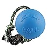   Jolly-Pets-Romp-n-Roll-Rope-and-Ball-Dog-Toy-8-InchesLarge-Blueberry-All-Breed-Sizes