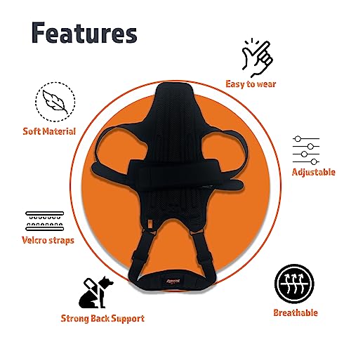 Image of NeoAlly Dog Back Brace for Dogs Arthritis, IVDD, Spinal Surgical Recovery, and Back Disease Prevention (Extra Large)