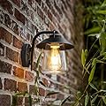LUTEC Outdoor Indoor Wall Lantern, Farmhouse Barn Wall Sconce Lighting Fixture,Matte Black Finish Anti-Rust Wall Mount Light, Waterproof Wall lamp with Clear Glass for Porch, Exterior, Patio