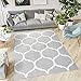 Produktbild TAPISO Laila Teppich Kurzflor Modern Grau Weiß Geometrisch Gitter Marokkanisch Design Wohnzimmer Schlafzimmer 80 x 150 cm
