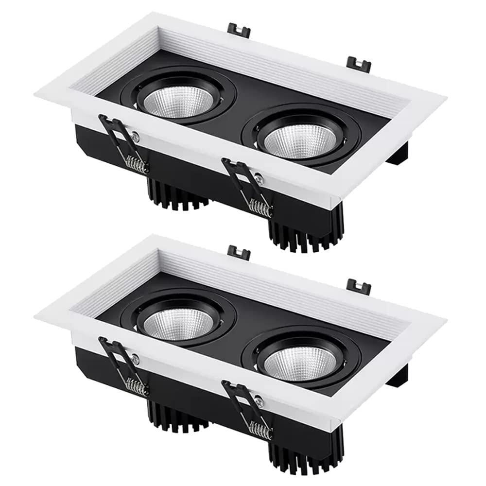 GTHTUHFD Set Of 2,Multiple Gimbal 2 Heads Canless Downlight,Adjustable Angle Rectangle Spotlights10W,14W,20W,24W,Disk Light Replacement Conversion Kit,Cri90+,14w-4000k