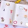 90 Pieces Fairy Stickers for Scrapbook, Transparent Flower Fairy Patch for Scrapbooking Hand Ledger Phone Case Laptop Diary DIY Crafts - (Undertint Grass and Autumn) #1