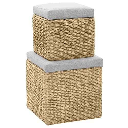 Tabourets Poufs Jacinthe d'Eau Gris Confortables avec Coffre Intégré - 4