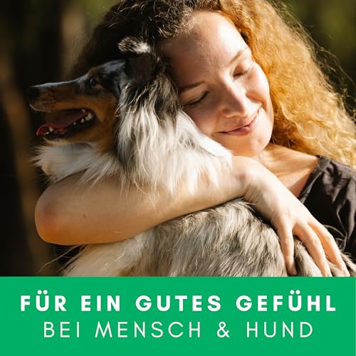 Testnote: Sehr gut - Leave-In Conditioner für Hunde - Active Care - Präbiotisches Fellpflege- & Entfilzungsspray ohne Ausspülen - 100% vegan - für geschmeidiges, leicht kämmbares Fell - 250ml
