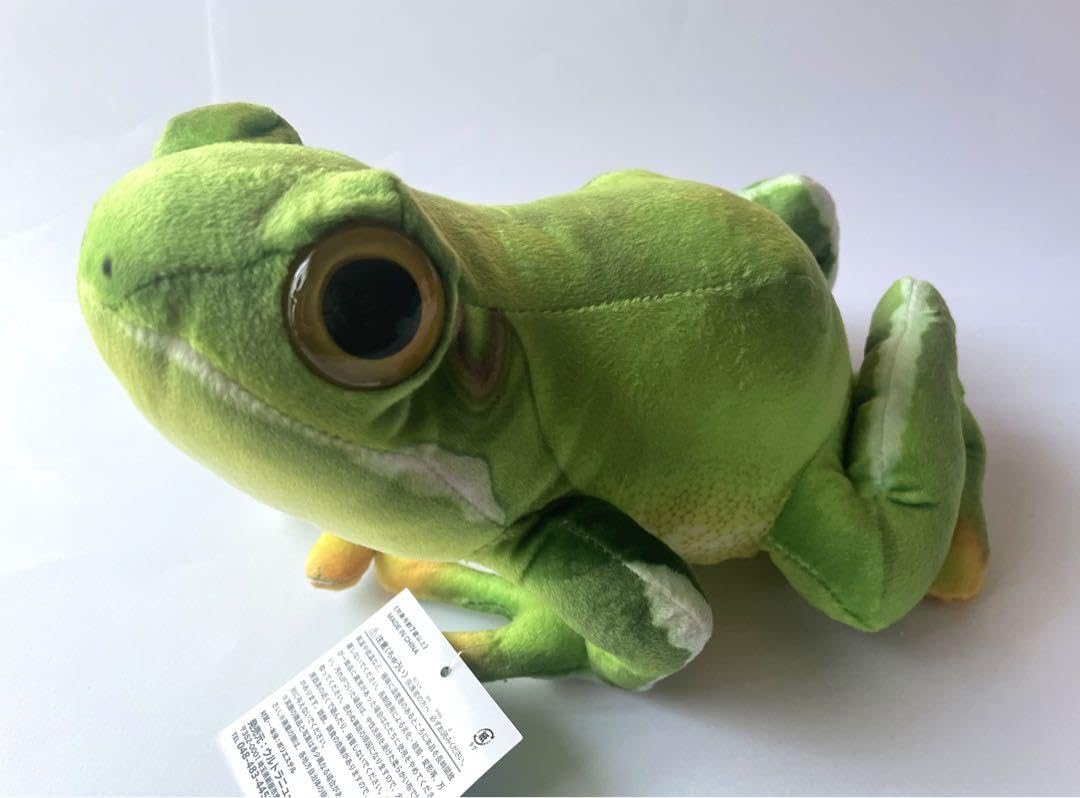 カエルのぬいぐるみ12体セットリアルカエル 4186dwWNKQL.jpg_BO30,255,255,