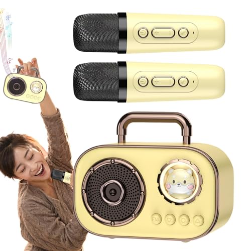 Machine de karaoké avec 2 microphones sans fil rechargeables pour la maison
