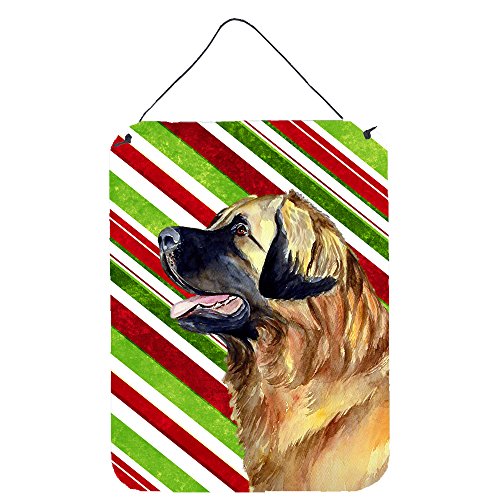 Caroline's Treasures LH9258DS1216 Leonberger Candy Cane Holiday Christmas Wall or Door Hanging Prints Aluminum Metal Sign Kitchen Wall Bar Bathroom Plaque Home Decor Front Door Plaque, 12x16, Multicol