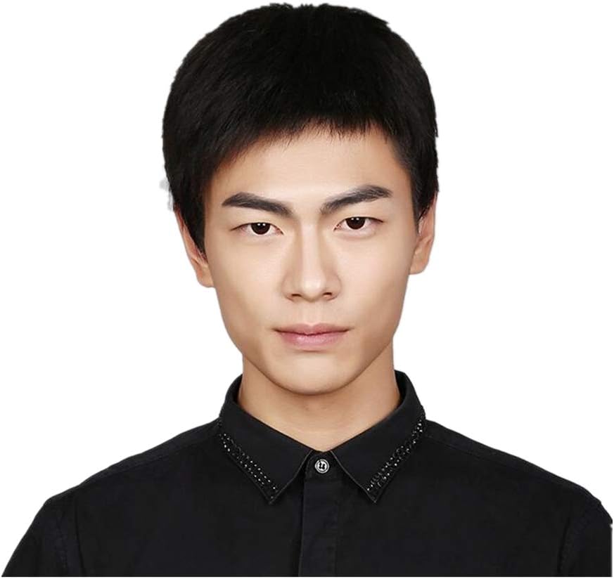 Wig Men's Toupee Short Youthful and Casual Fashion Black