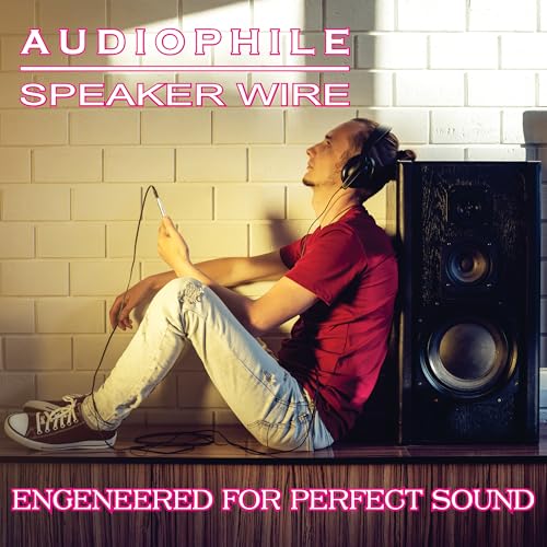 Cable de altavoz de audio de pared 14 AWG de 100 pies y 4 conductores 6
