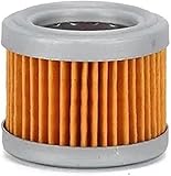 34261-09010 Fuel Filter 76591560 FF1023 5671113 4451022 109635 RB10151260 Compatible with HITACHI -